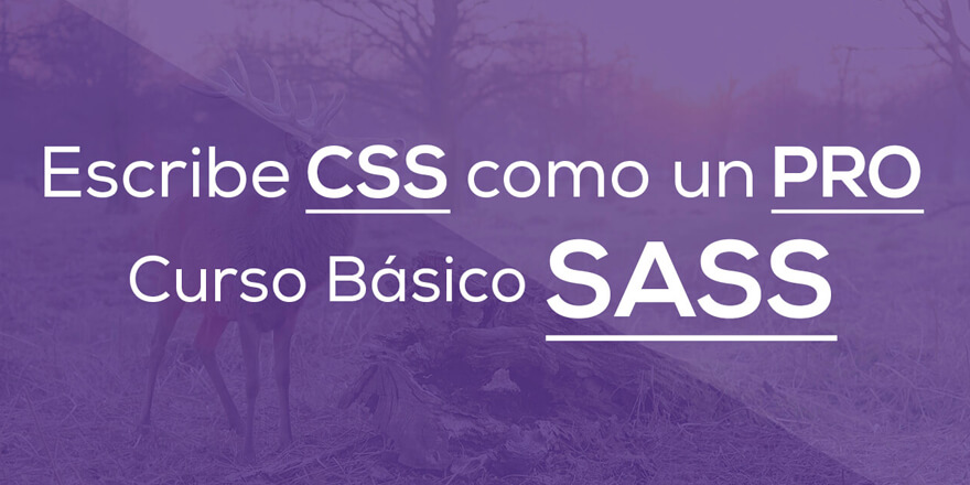Escribe CSS como un PRO, Curso Básico de SASS